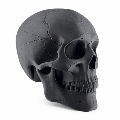 Towbar Republic charcoal skull towbar cover for 50mm European tow balls with a protective clear coat finish.