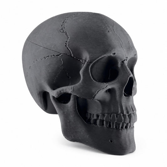Towbar Republic charcoal skull towbar cover for 50mm European tow balls with a protective clear coat finish.